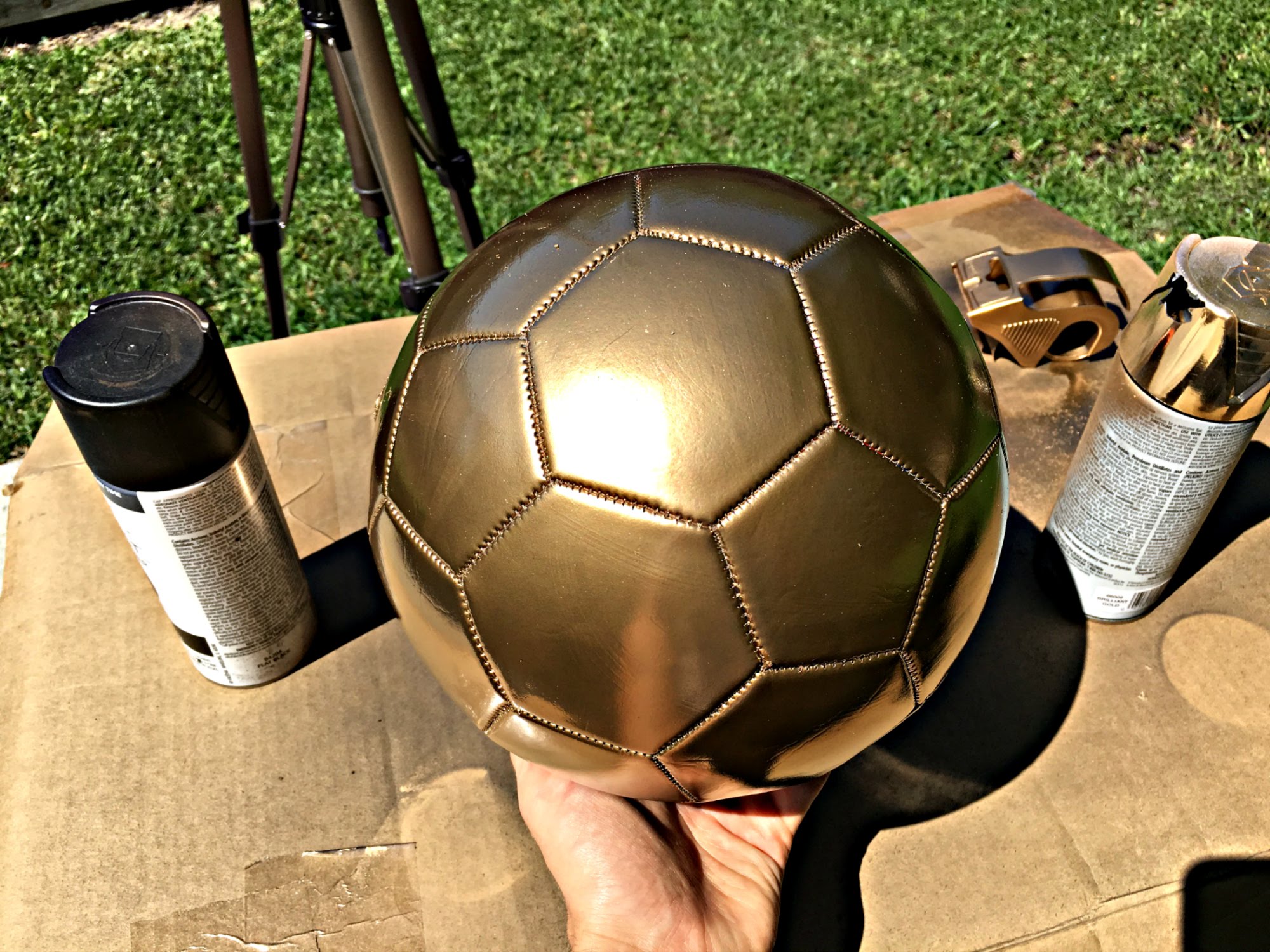 2000x1500 How To Paint Your Soccer Ball Gold - Painting Soccer Ball