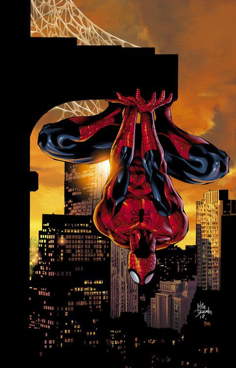 482x750 Use 10% Discount Coupon - Painting Spiderman Online