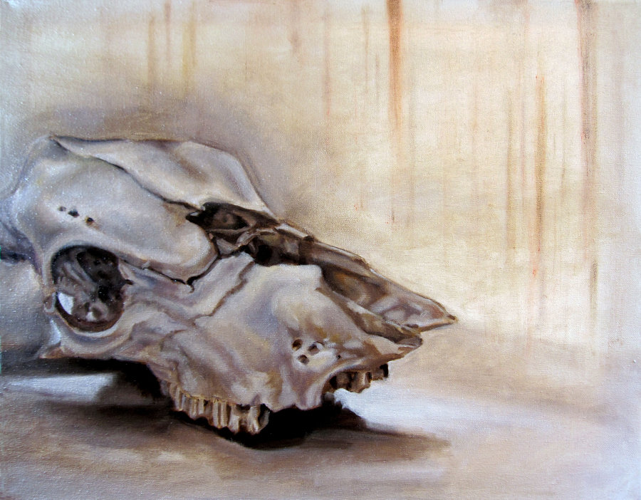 900x702 First Oil Painting, Cow Skull By Avawonzie - Painting Steer Skull