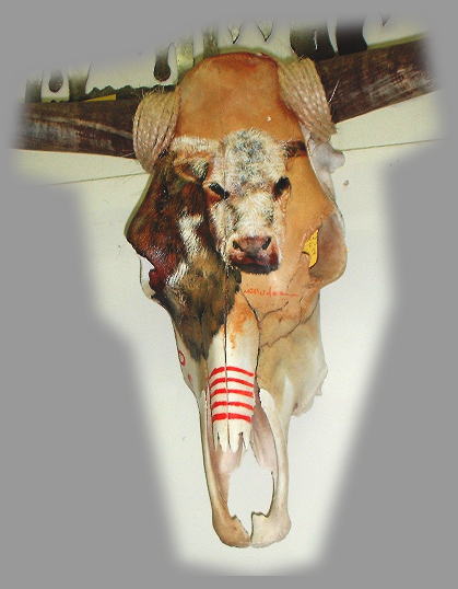419x538 Hand Painted Cow Skulls - Painting Steer Skull
