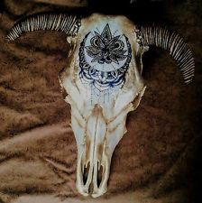 224x225 Painted Cow Skulls Ebay - Painting Steer Skull