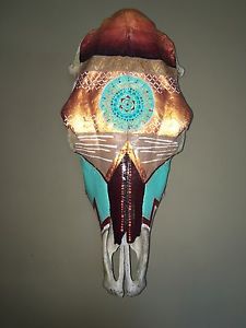 225x300 Authentic Hand Painted Cow Skull Ebay - Painting Steer Skull