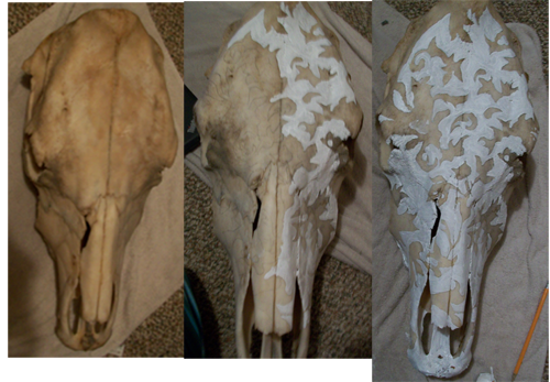 500x347 Cow Skull Painting Step1 3 By Theisolatedstag - Painting Steer Skull