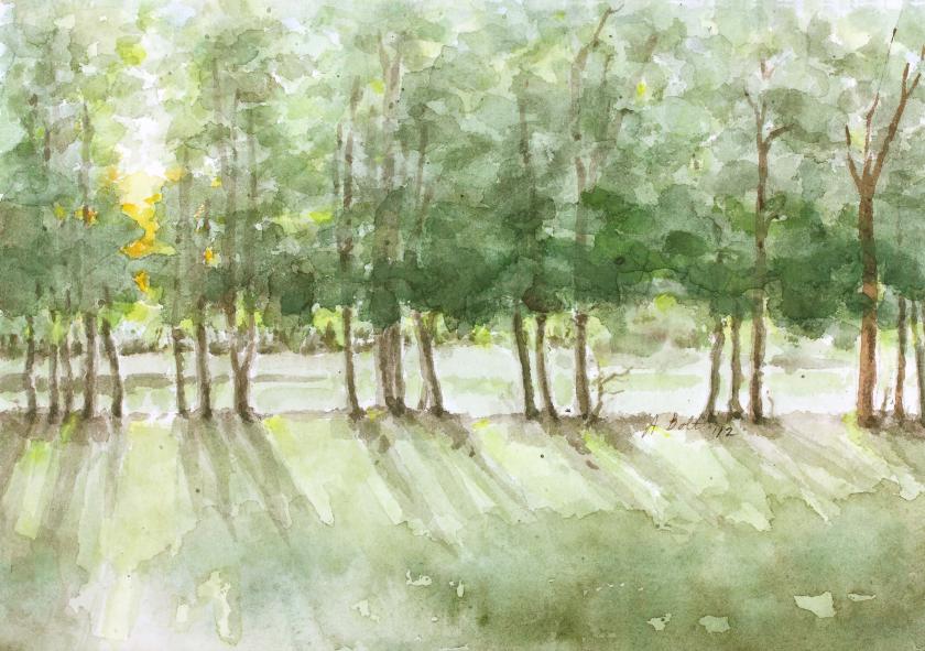 840x591 Sunlight Through The Trees Olney Art Association - Painting Sunlight Through Trees