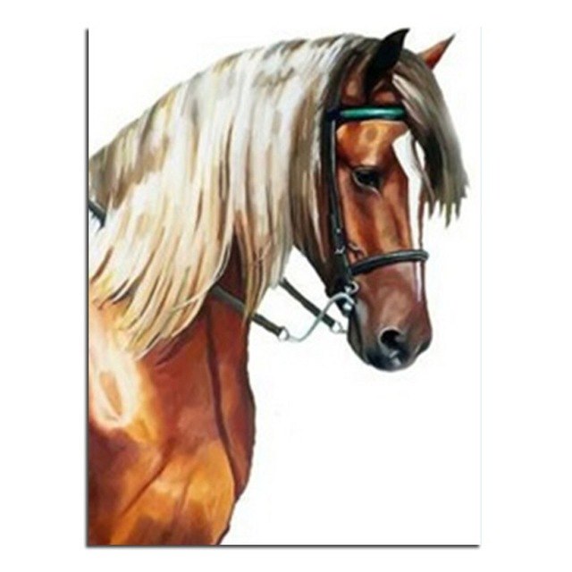 640x640 Sweat Horse Diy Diamond Painting Cross Stitch Square Rhinestones - Painting Sweat