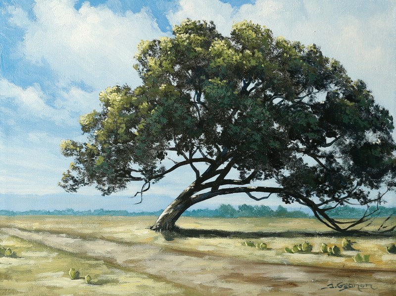 800x598 Texas Tree An Online Painting Lesson Tim Gagnon Studio - Painting Texas