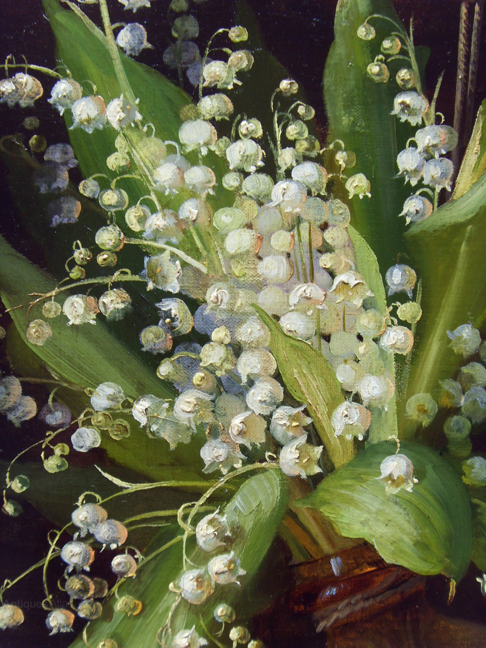 1000x1333 Antiques Atlas - Painting The Lily