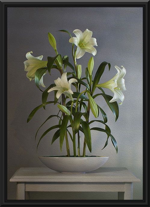 499x685 Painted Lily - Painting The Lily