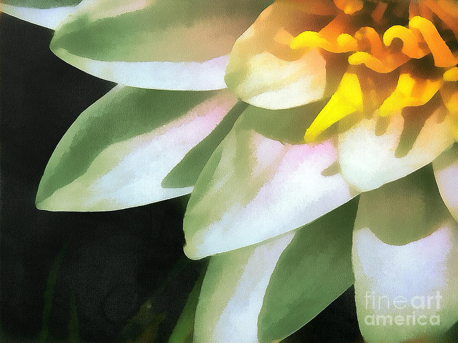 900x675 The Lily Flower Painting By Odon Czintos - Painting The Lily