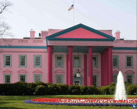450x358 Painting The White House Pink! - Painting The White House