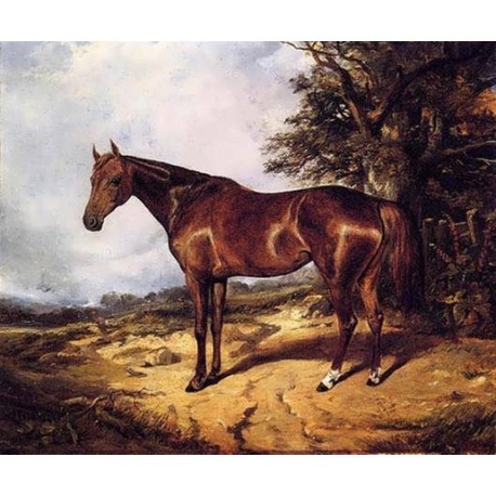 Painting Thoroughbred at PaintingValley.com | Explore collection of ...