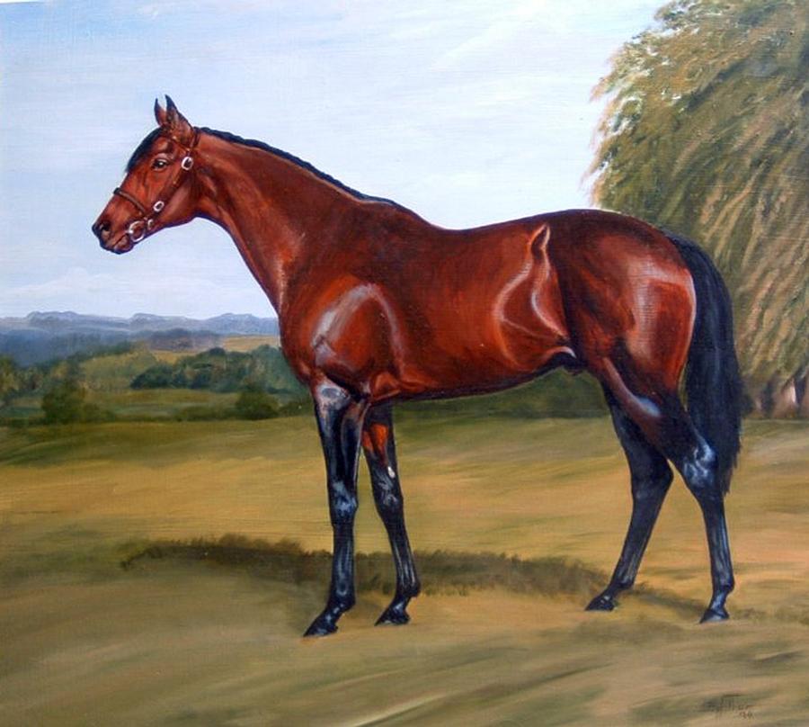 900x808 Thoroughbred Stallion Painting By Barbara Walker - Painting Thoroughbred