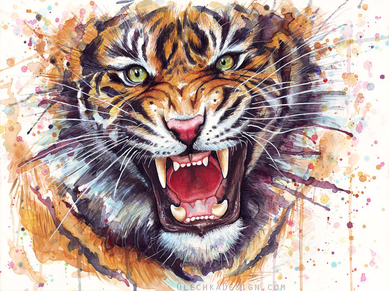 800x598 Ferocious Tiger Watercolor Painting By Olechka01 - Painting Tiger