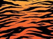 186x139 Tiger Stripe Pellet Gun 6 Steps - Painting Tiger Stripes