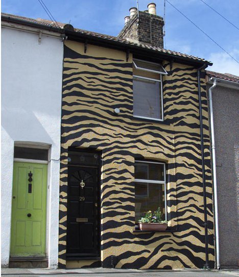 468x543 Tiger Stripes To Cow Spots 13 Playful Home Paint Jobs - Painting Tiger Stripes