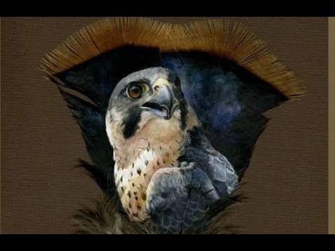 480x360 Surreal Animal Portraits Expertly Painted On Wild Turkey Feathers - Painting Turkey Feathers