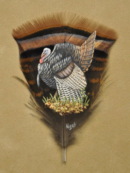 453x600 Feather Paintings - Painting Turkey Feathers