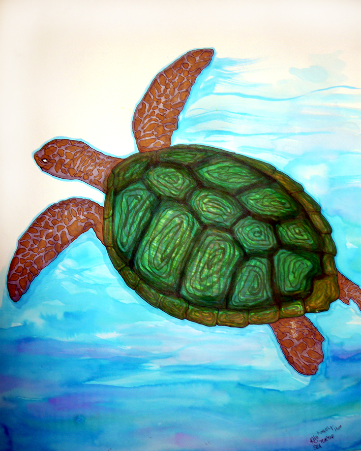 734x916 Turtle Paint By Kimkitty - Painting Turtle