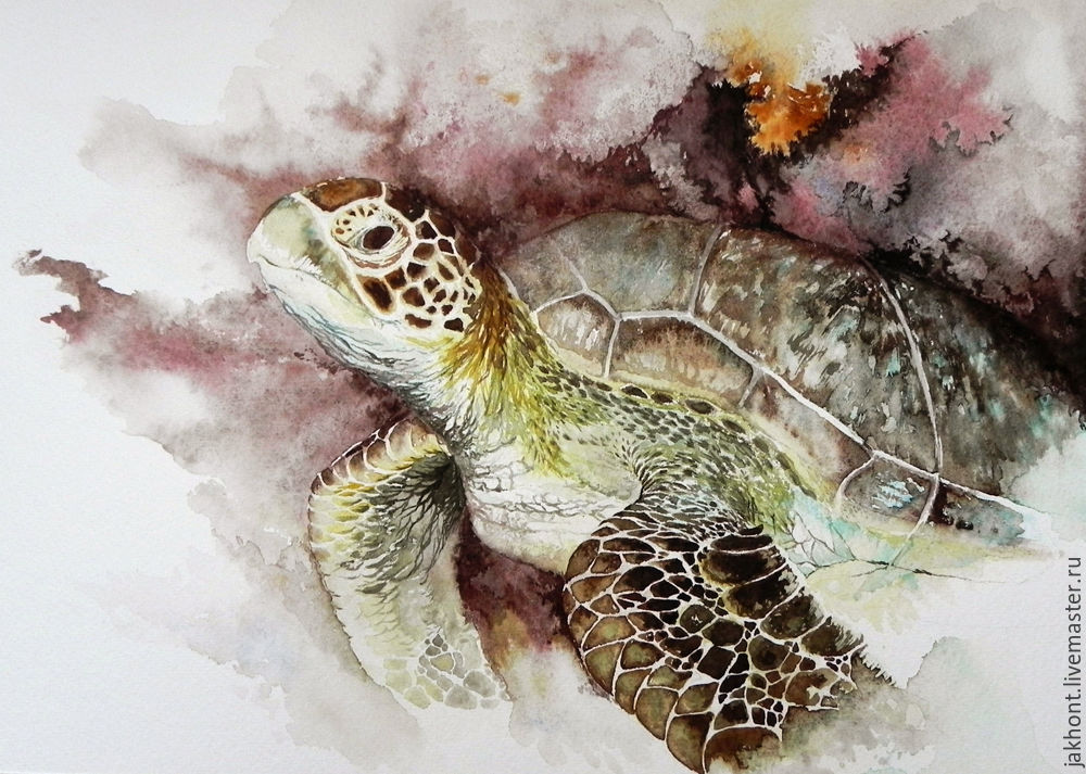 1000x713 Turtle Watercolor Painting Shop Online On Livemaster - Painting Turtle