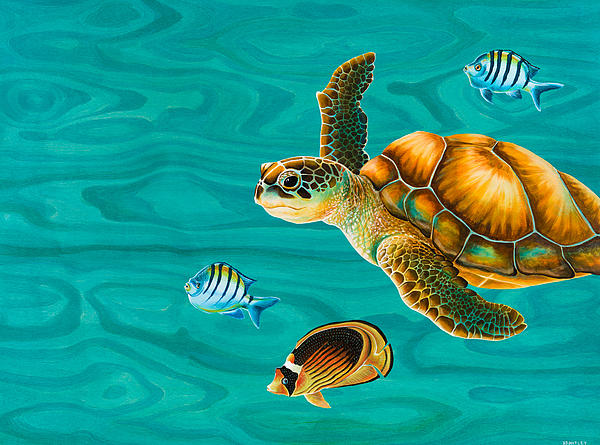 Painting Turtle at PaintingValley.com | Explore collection of Painting ...