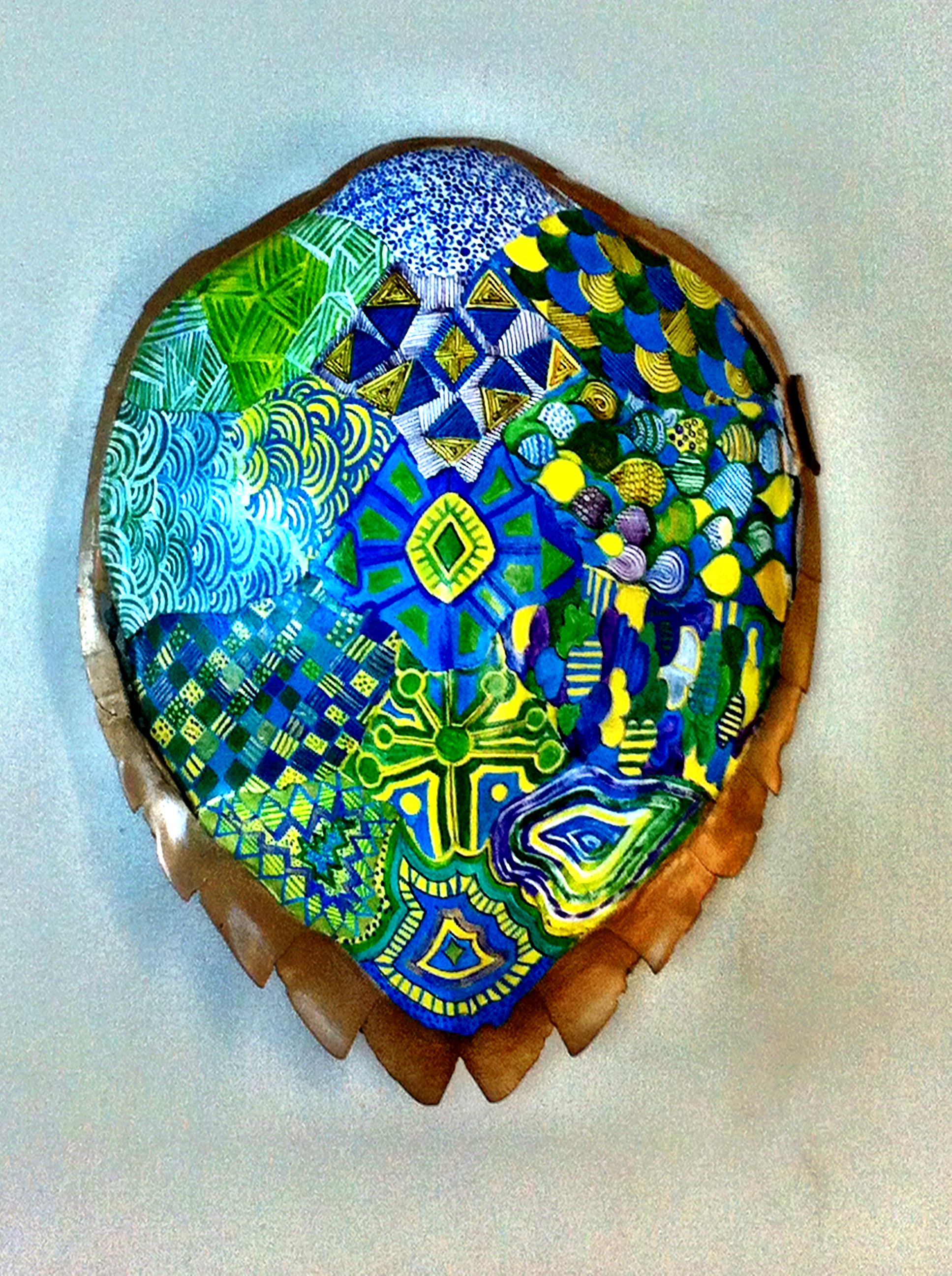 Painting Turtle Shell At PaintingValley Com Explore Collection Of   Painting Turtle Shell 6 