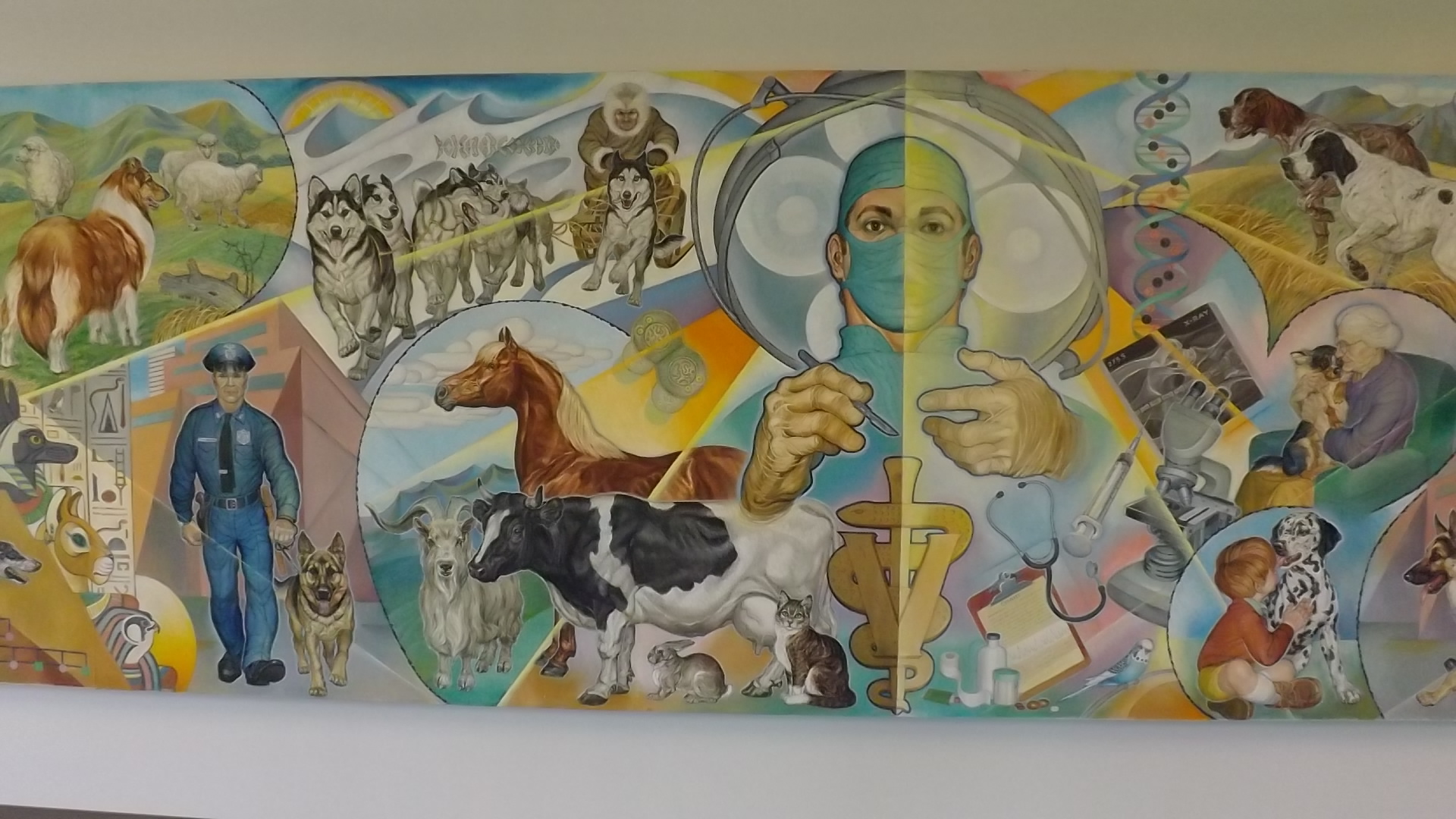 1920x1080 History Of Our Mural Central Hospital For Veterinary Medicine - Painting Two Fingers Touching