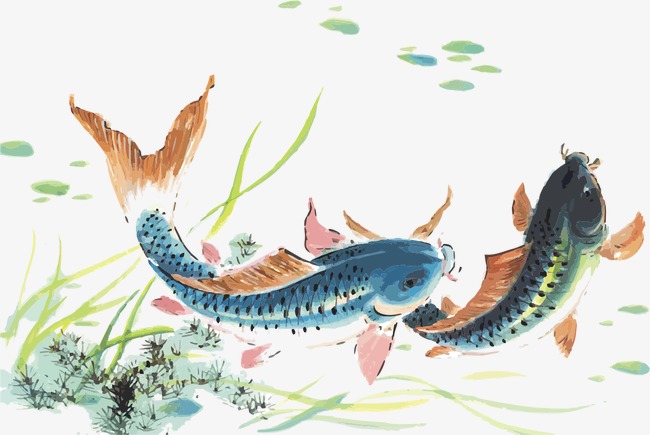 650x435 Koi Painting, Vector, Ai, Cartoon Png And Vector For Free Download - Painting Vector