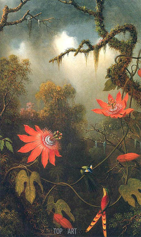 463x779 Two Hummingbirds Perched On Passion Flower Vines Martin Johnson - Painting Vines