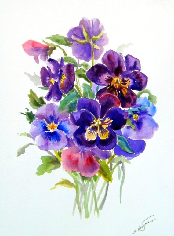 570x773 Pansies, Original Watercolor Painting 12 X 9 Purple, Violet Blue - Painting Violets
