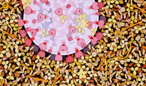 475x280 Structural Revolution Slideshow - Painting Virus