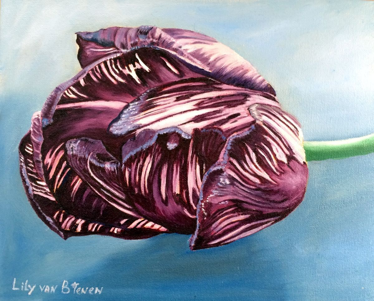 1200x967 English Virus Tulip Mauve.jpg (Lily Van Bienen) - Painting Virus