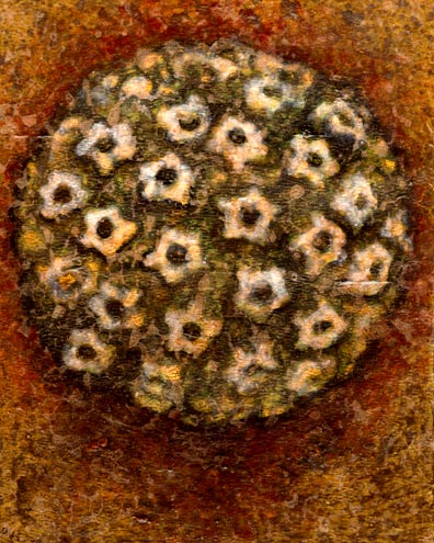 396x495 Exalted Beauty The Fallback Plan - Painting Virus