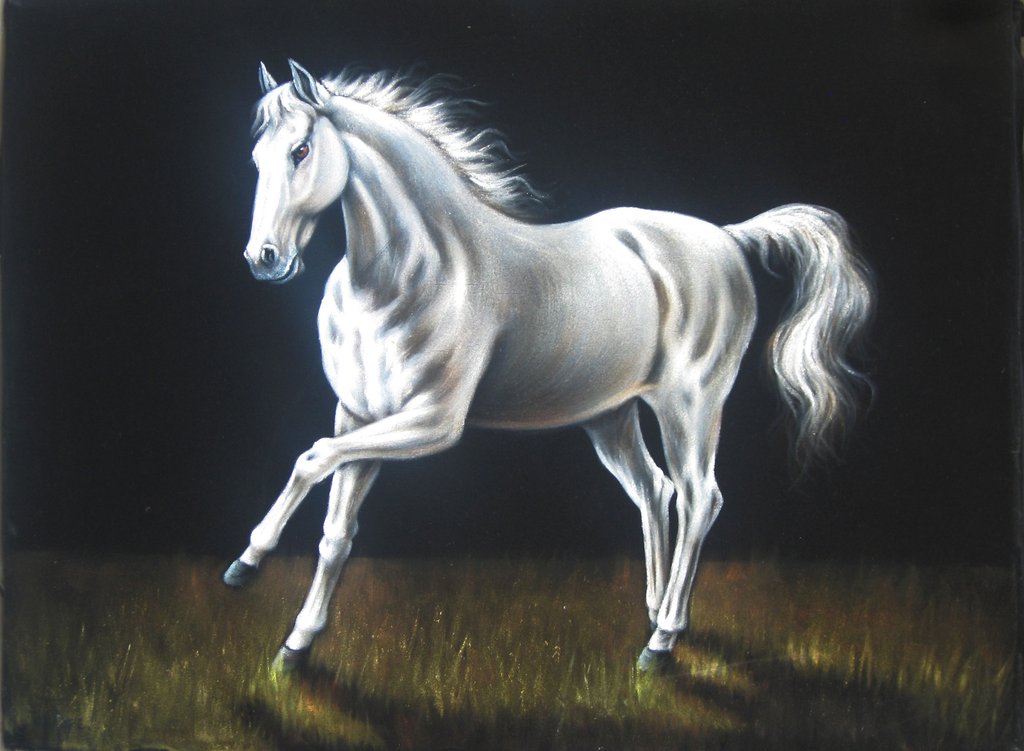 1024x751 Horse, White Horse Running, Original Oil Painting On Black Velvet - Painting White Horse