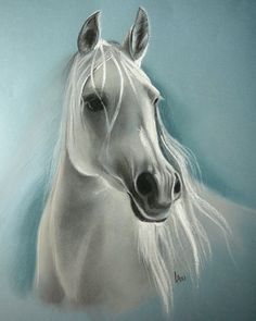 236x295 85 Best Art Amp Paintings - Painting White Horse