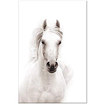 350x350 White Horse Painting Canvas Wall Art Picture Home - Painting White Horse