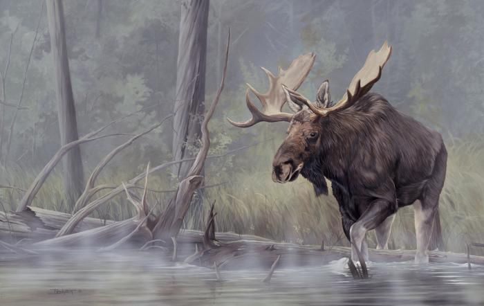 700x442 Larry Beckstein, Wildlife Artist - Painting Wildlife