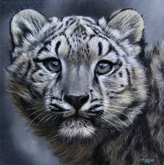 550x554 Original Wildlife Art Paintings - Painting Wildlife