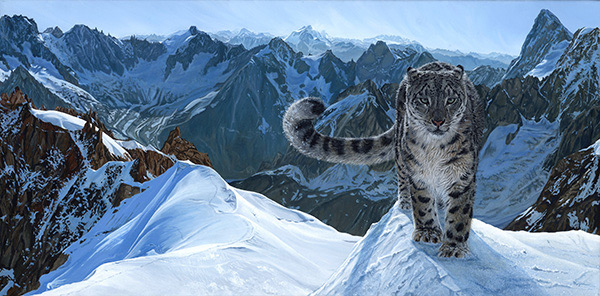 600x296 Wildlife Art Of Morgane Antoine, Acrylic Painting Of A Snow Leopard - Painting Wildlife