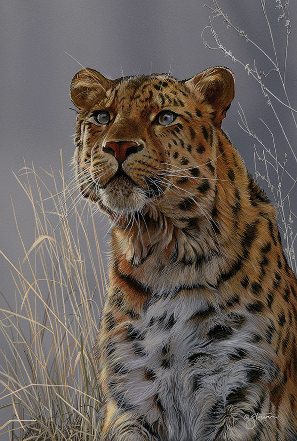 600x891 Decoys And Wildlife Gallery Wildlife Art - Painting Wildlife