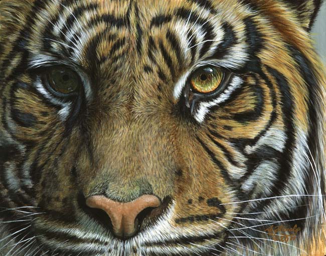 650x511 Akiko Watanabe Fine Art - Painting Wildlife In Acrylic