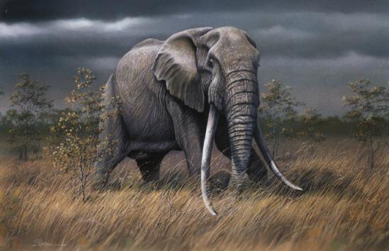 Painting Wildlife In Acrylic at PaintingValley.com | Explore collection ...