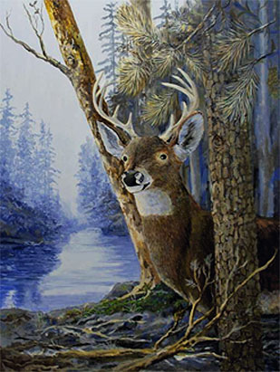 309x411 Wildlife Art Gallery Acrylic Paintings Buck Deer By Wildlife - Painting Wildlife In Acrylic