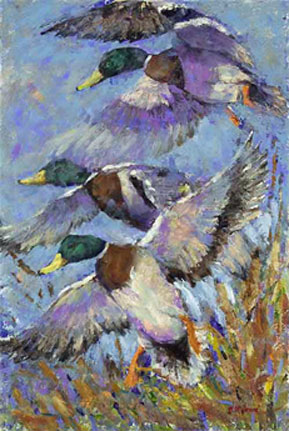 289x431 Wildlife Art Gallery Acrylic Paintings Ducks By Wildlife Artist - Painting Wildlife In Acrylic