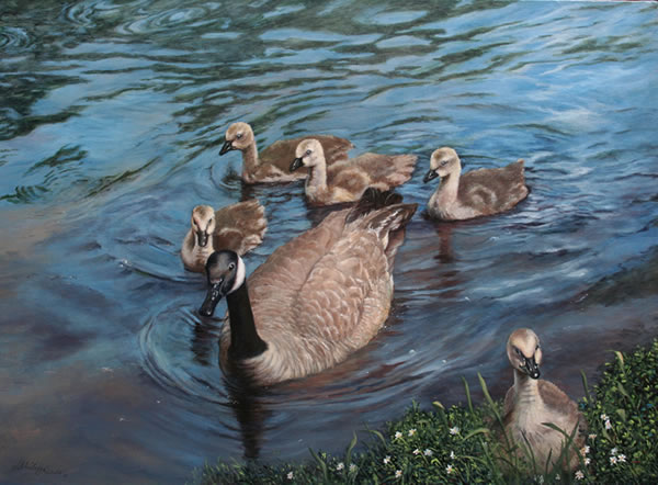 600x442 Canada Geese Family - Painting Wildlife In Acrylic