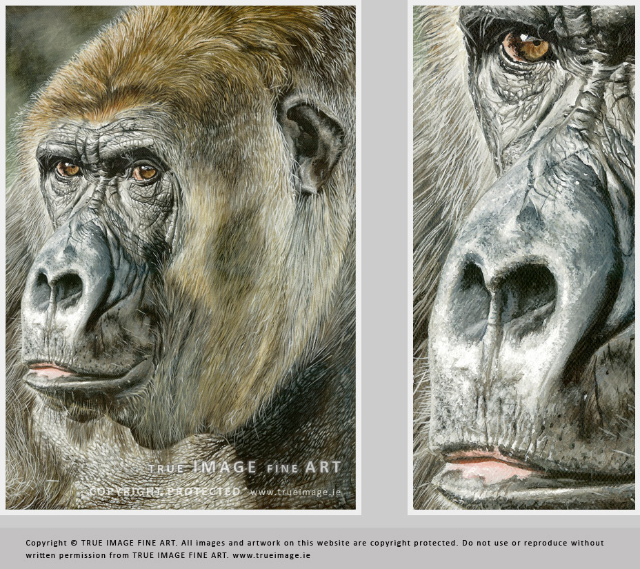 928x825 Gorilla Wildlife Painting By True Image Fine Art - Painting Wildlife In Acrylic