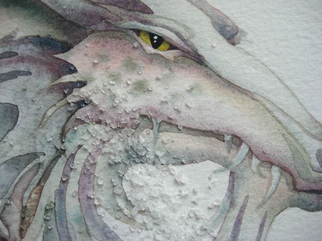 640x480 Photos Painting With Salt Crystals, - Painting With Crystals