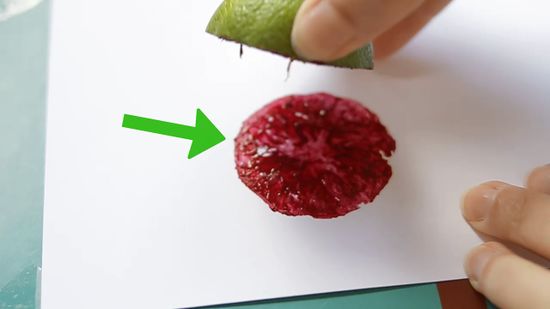 550x309 How To Paint With Fruit And Vegetables 10 Steps (With Pictures) - Painting With Fruit