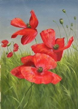 260x361 Jane Harvey - Painting With Jane Poppies