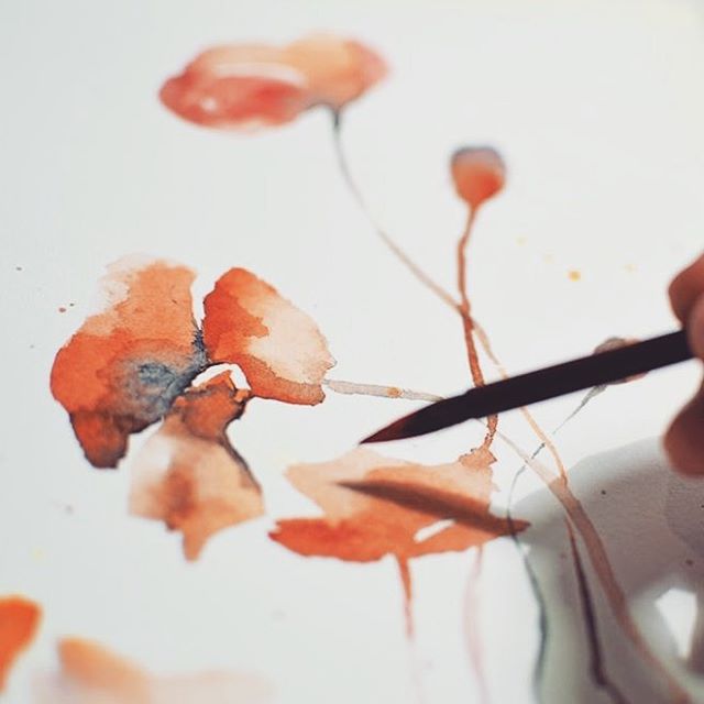 640x640 Poppies I, Watercolor By Jane Beata - Painting With Jane Poppies