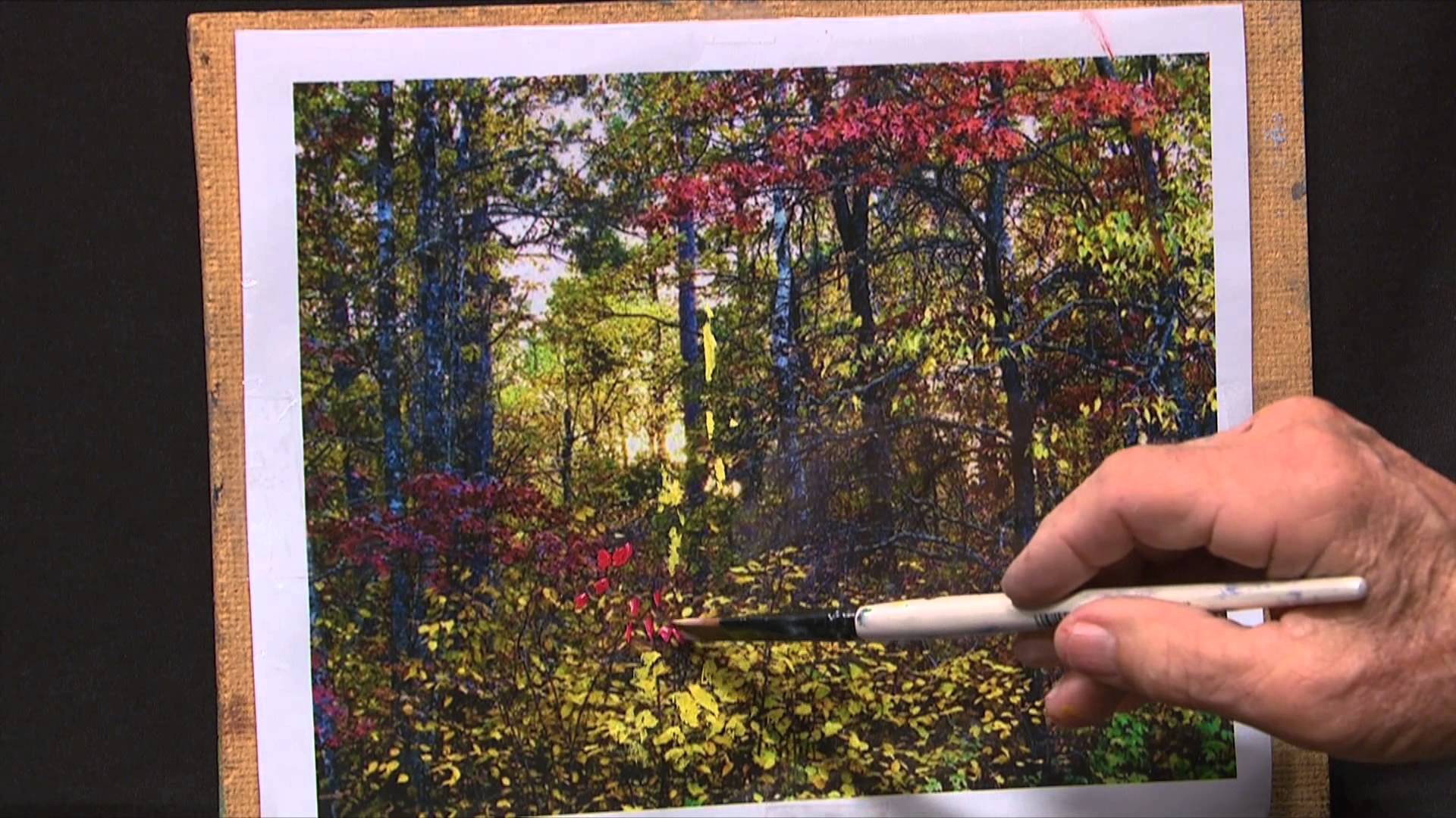 1920x1080 Painting Concepts 504 Making Use Of Nature - Painting With Paulson Videos
